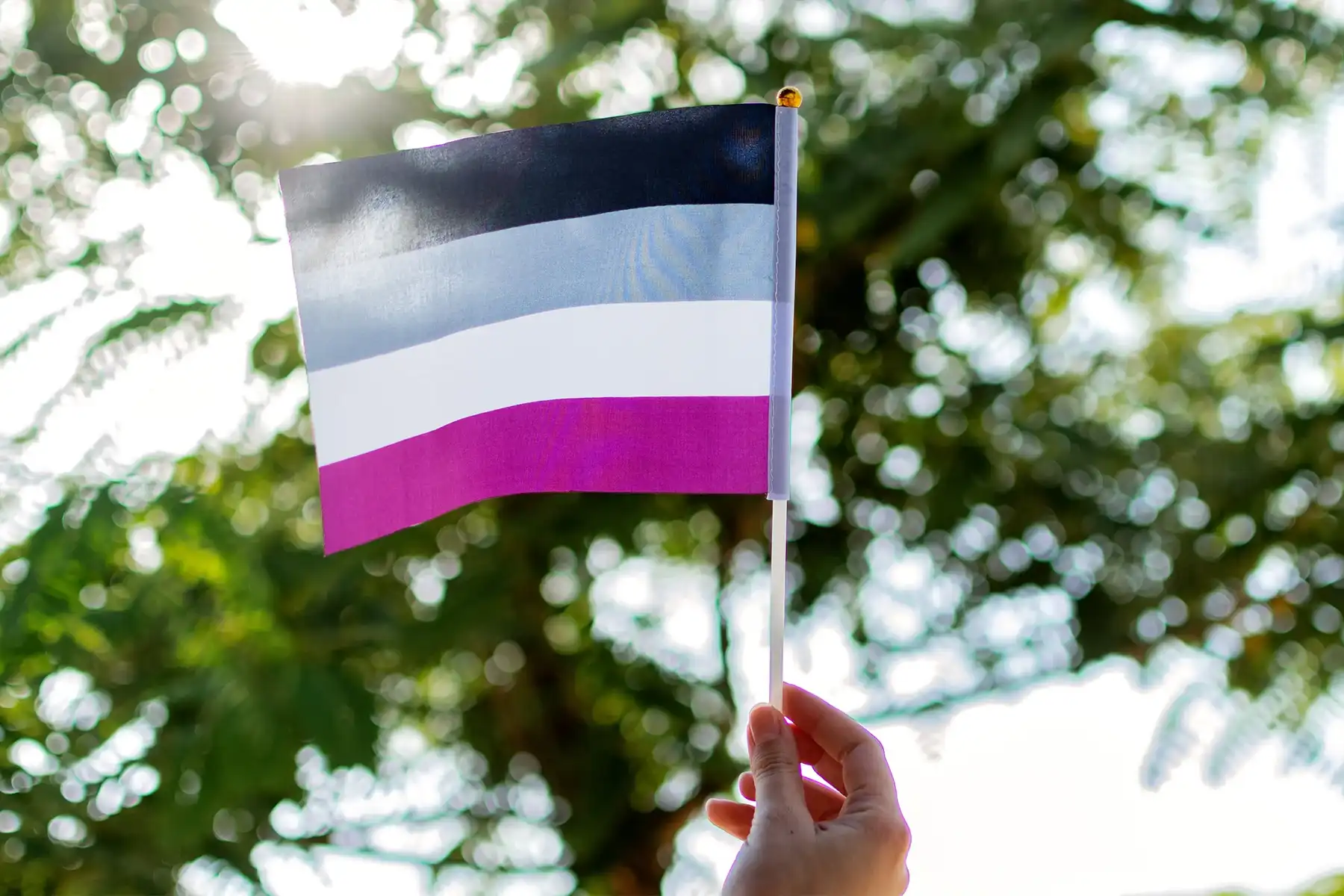 Asexual Flag History What It Symbolizes And Tips To Support 1555