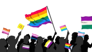 Role of the Pansexual Flag in LGBTQ+ Activism