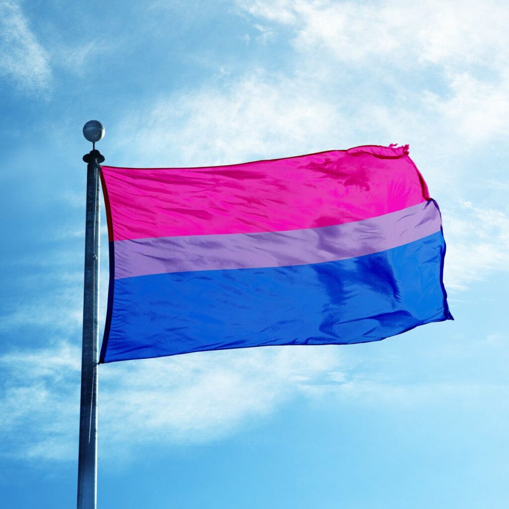 The Bisexual Flag: All The Aspects About Bisexual Flag