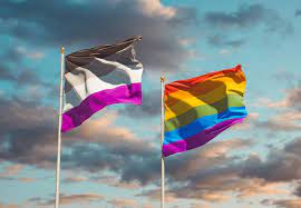 What Does Asexual Flag Mean?